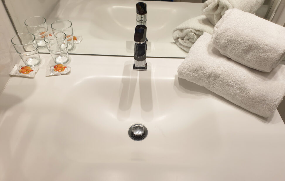 Chambre d'hôtel à Bordeaux - Salle de bain Studio Lits Jumeaux Victoria Garden